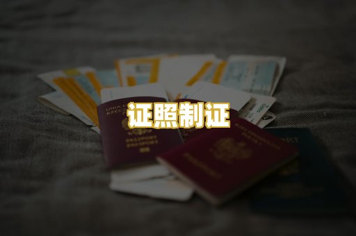 证照制证